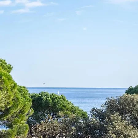 Daire Au Calme, Dans Les Pins, Avec Vue Et Piscine *